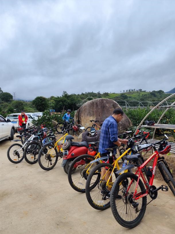 �й���1929cc����˹(�ɷ�)���޹�˾-�ٷ���վ