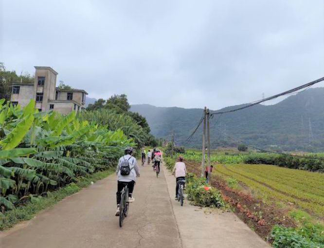 �й���1929cc����˹(�ɷ�)���޹�˾-�ٷ���վ