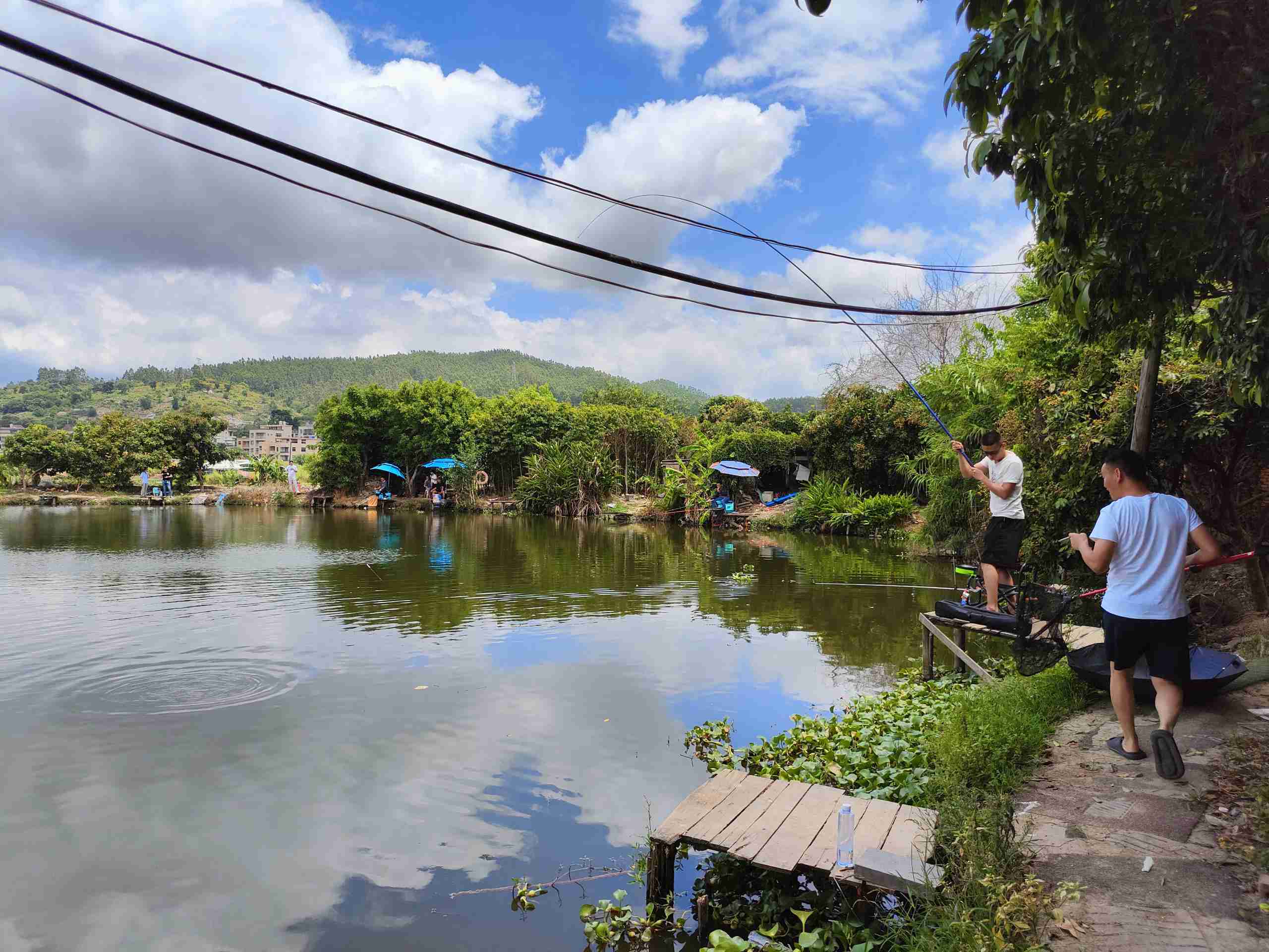 �й���1929cc����˹(�ɷ�)���޹�˾-�ٷ���վ