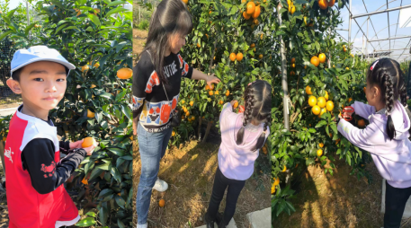 й1929cc˹(ɷ)޹˾-ٷվ